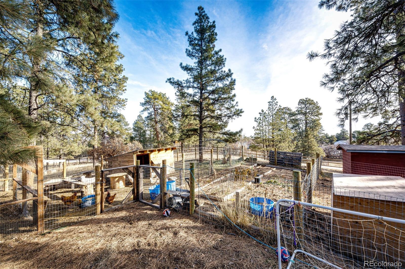 MLS Image #32 for 1042  buttercup road,elizabeth, Colorado