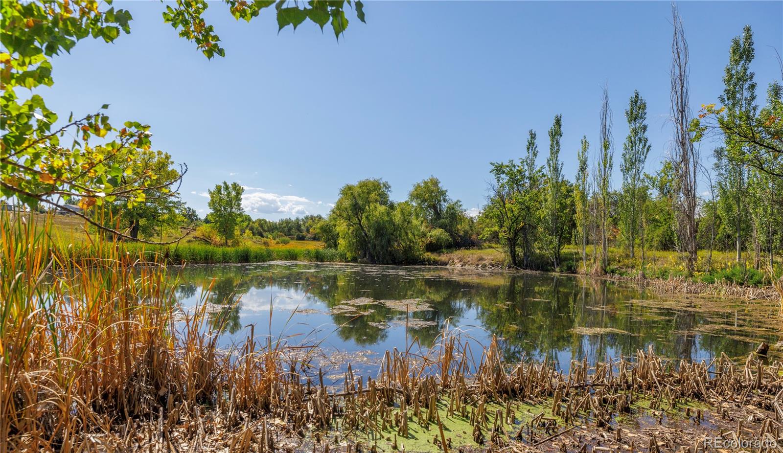 MLS Image #36 for 7447  quay street,arvada, Colorado