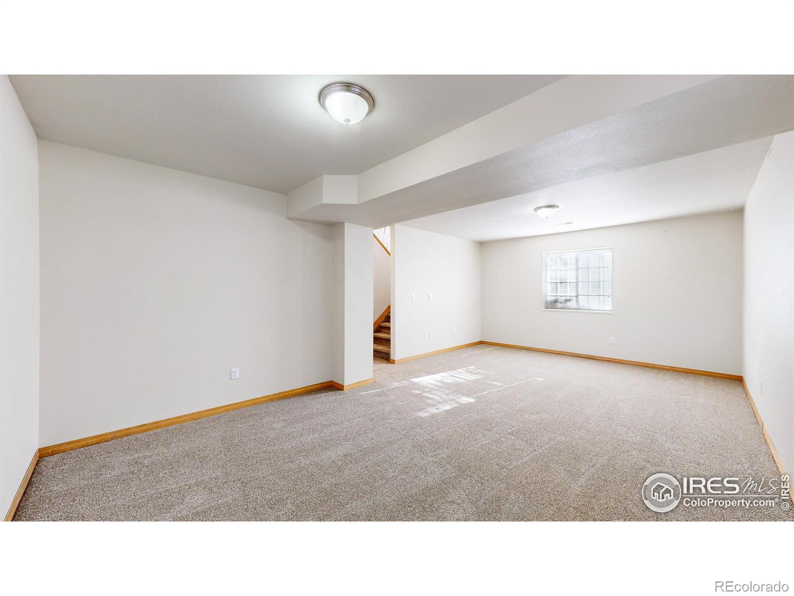 MLS Image #18 for 2828  silverplume drive,fort collins, Colorado