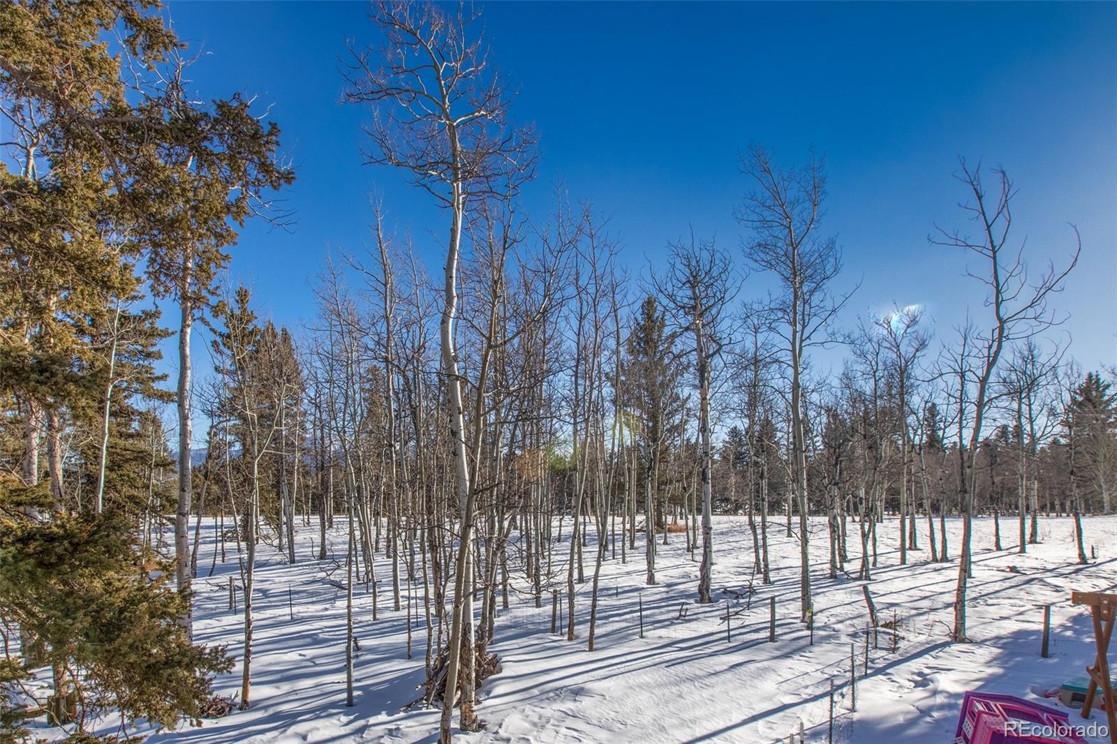 MLS Image #43 for 167  county road 511 ,divide, Colorado