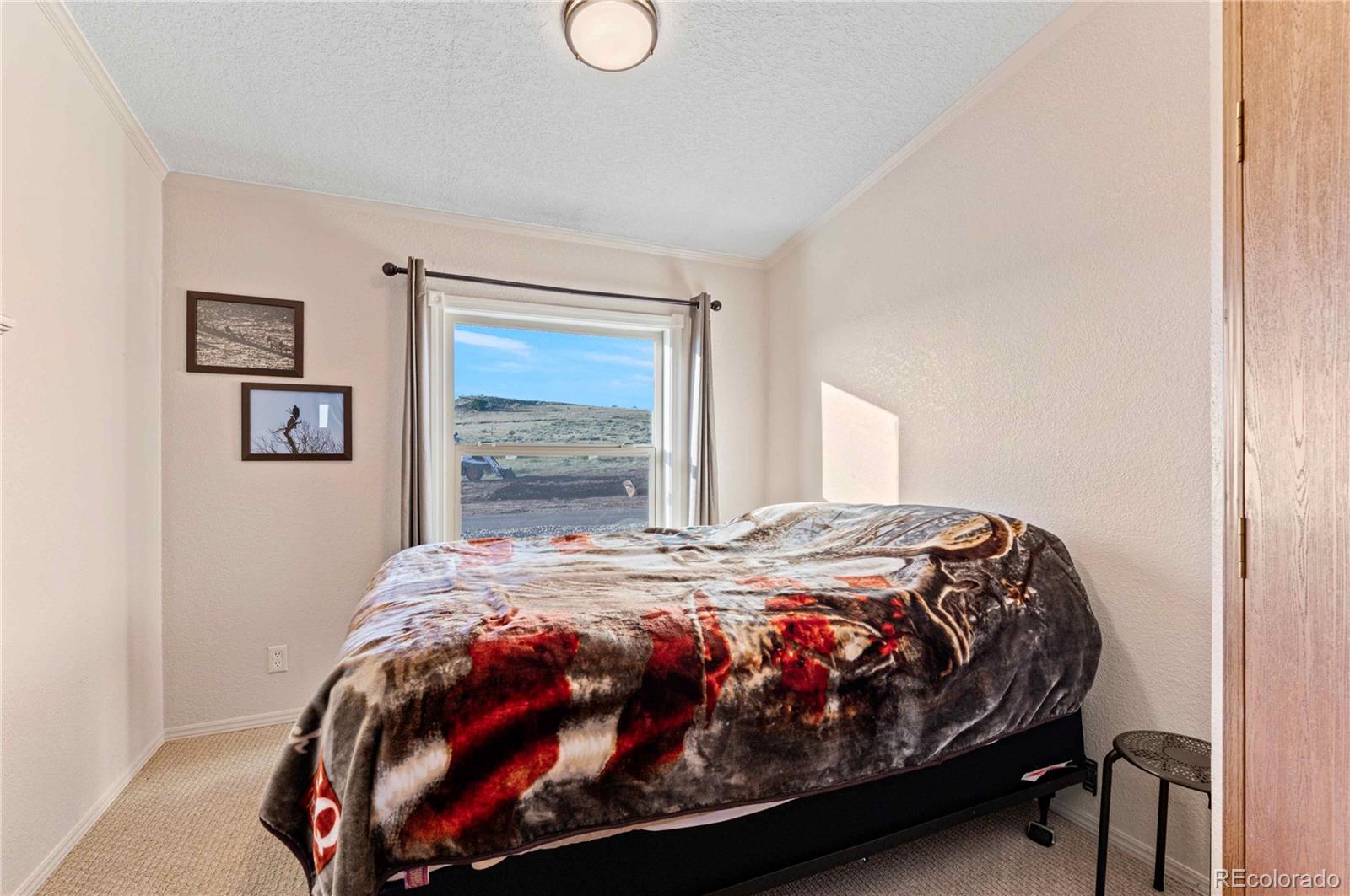 MLS Image #27 for 3701  county road 230 ,walsenburg, Colorado