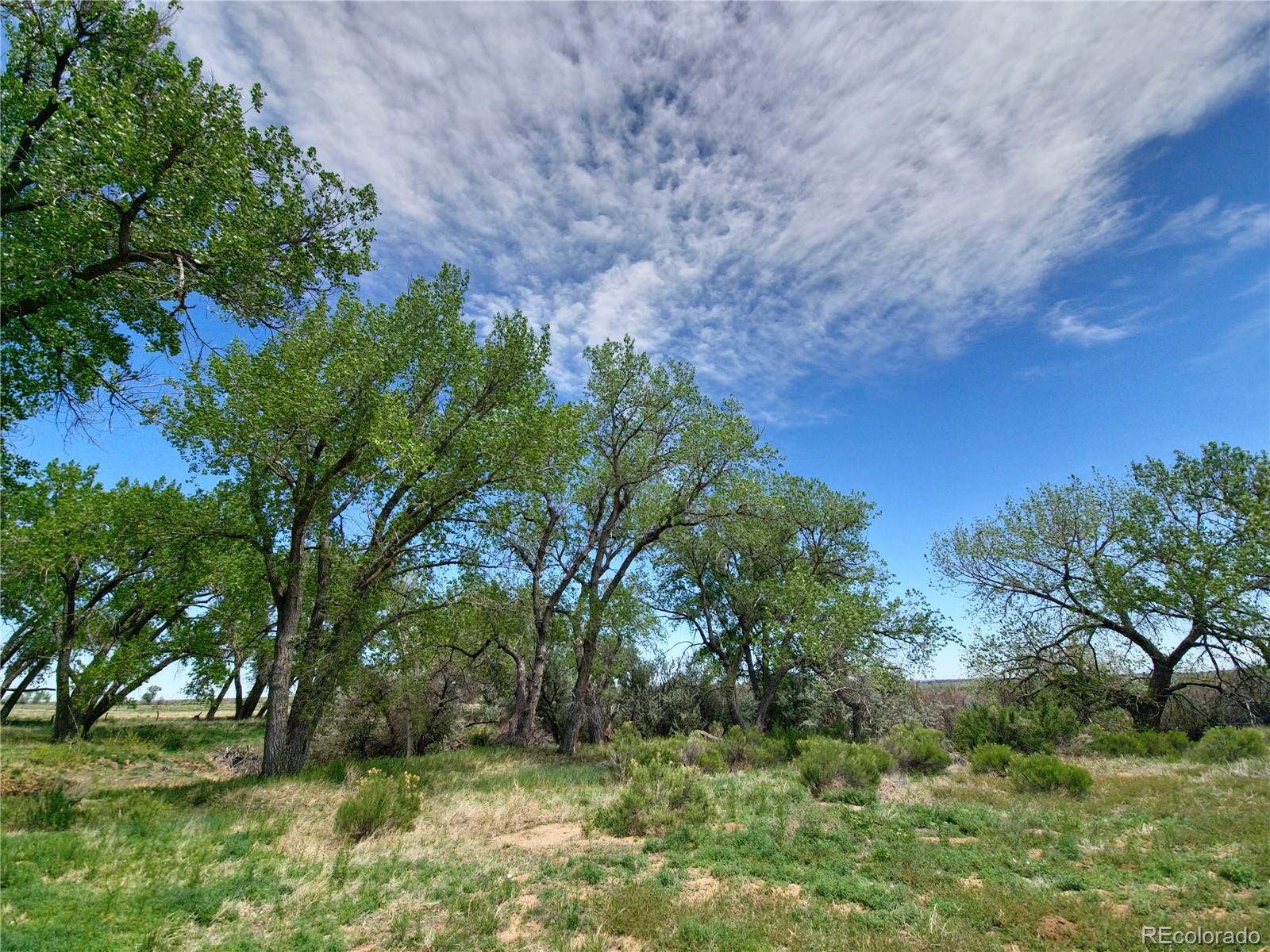 MLS Image #6 for 3701  county road 230 ,walsenburg, Colorado