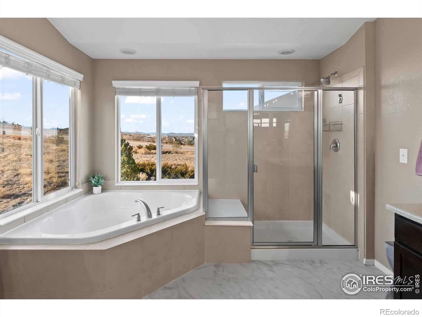 MLS Image #19 for 2154  longfin drive,windsor, Colorado