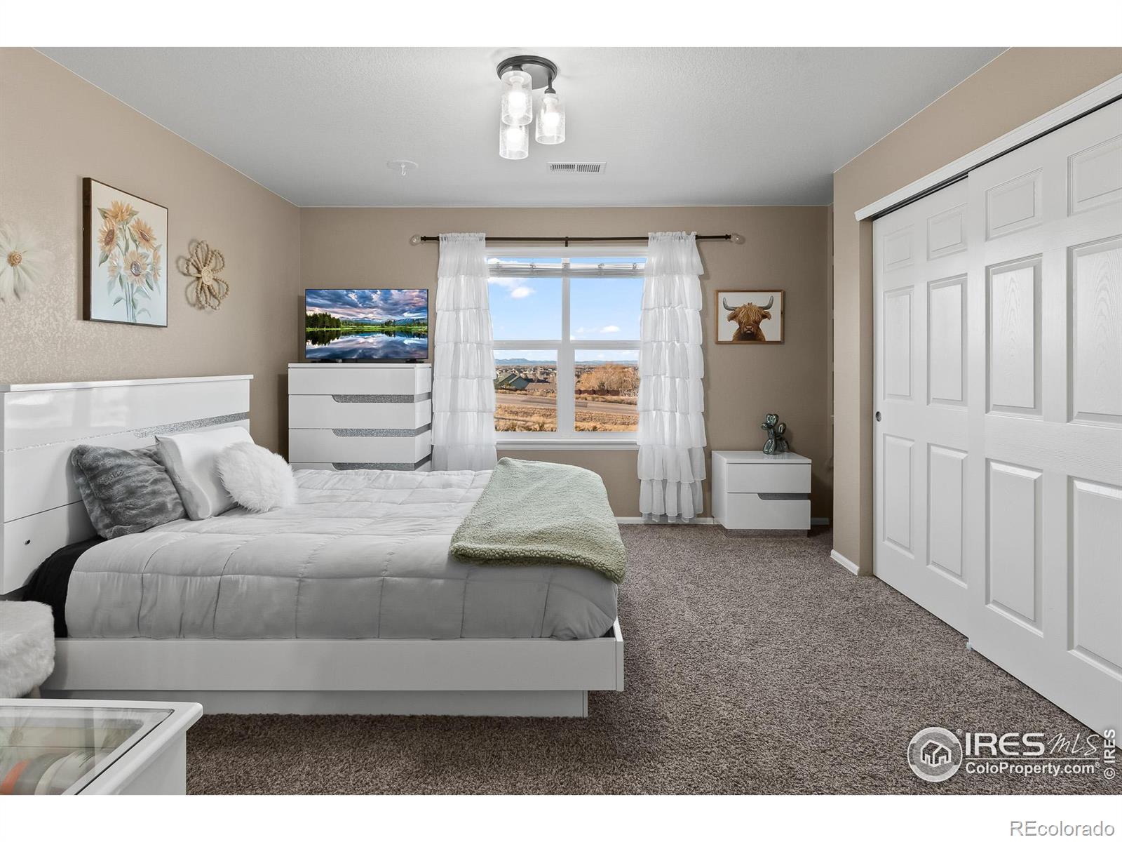 MLS Image #23 for 2154  longfin drive,windsor, Colorado