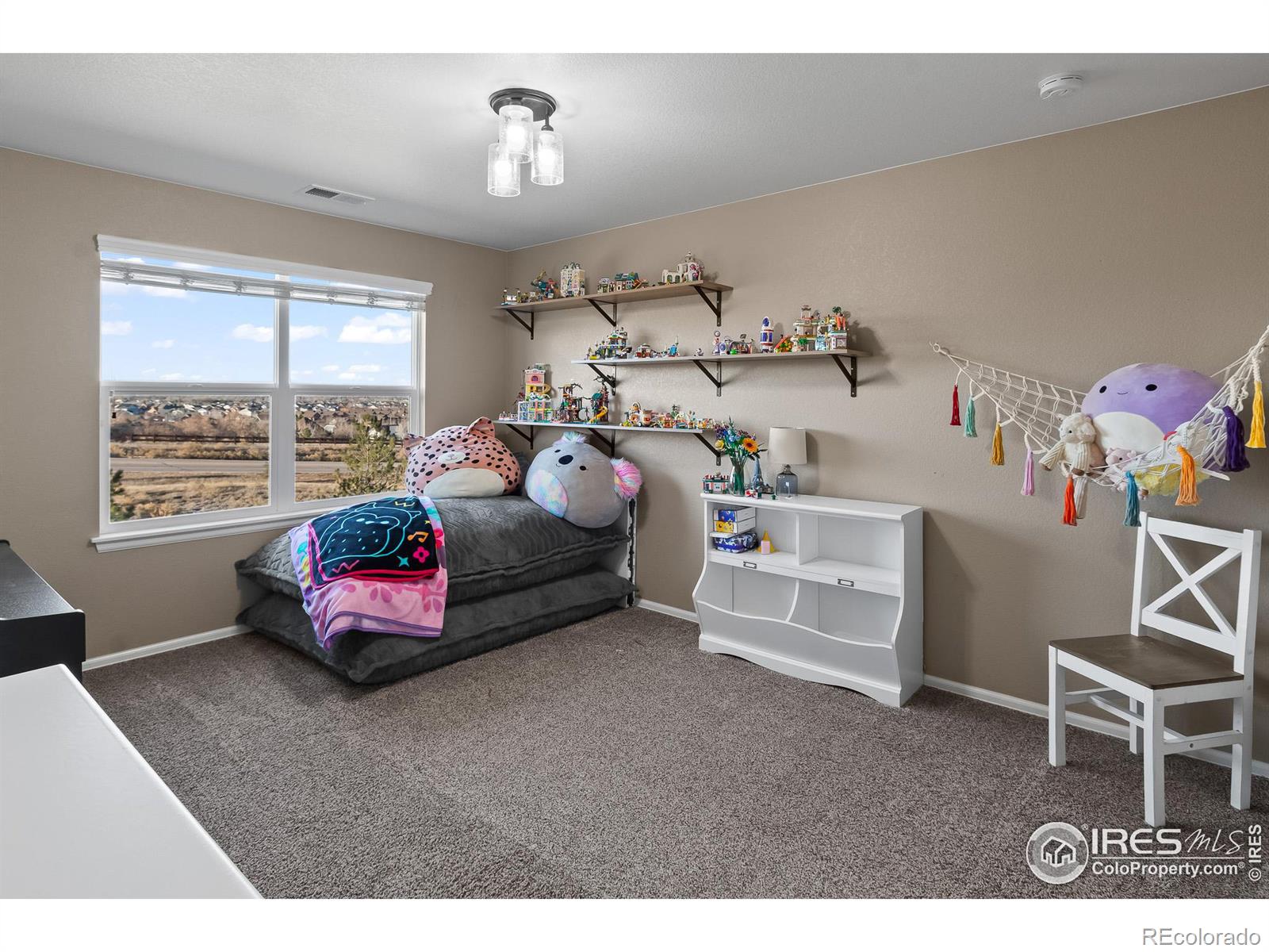 MLS Image #25 for 2154  longfin drive,windsor, Colorado