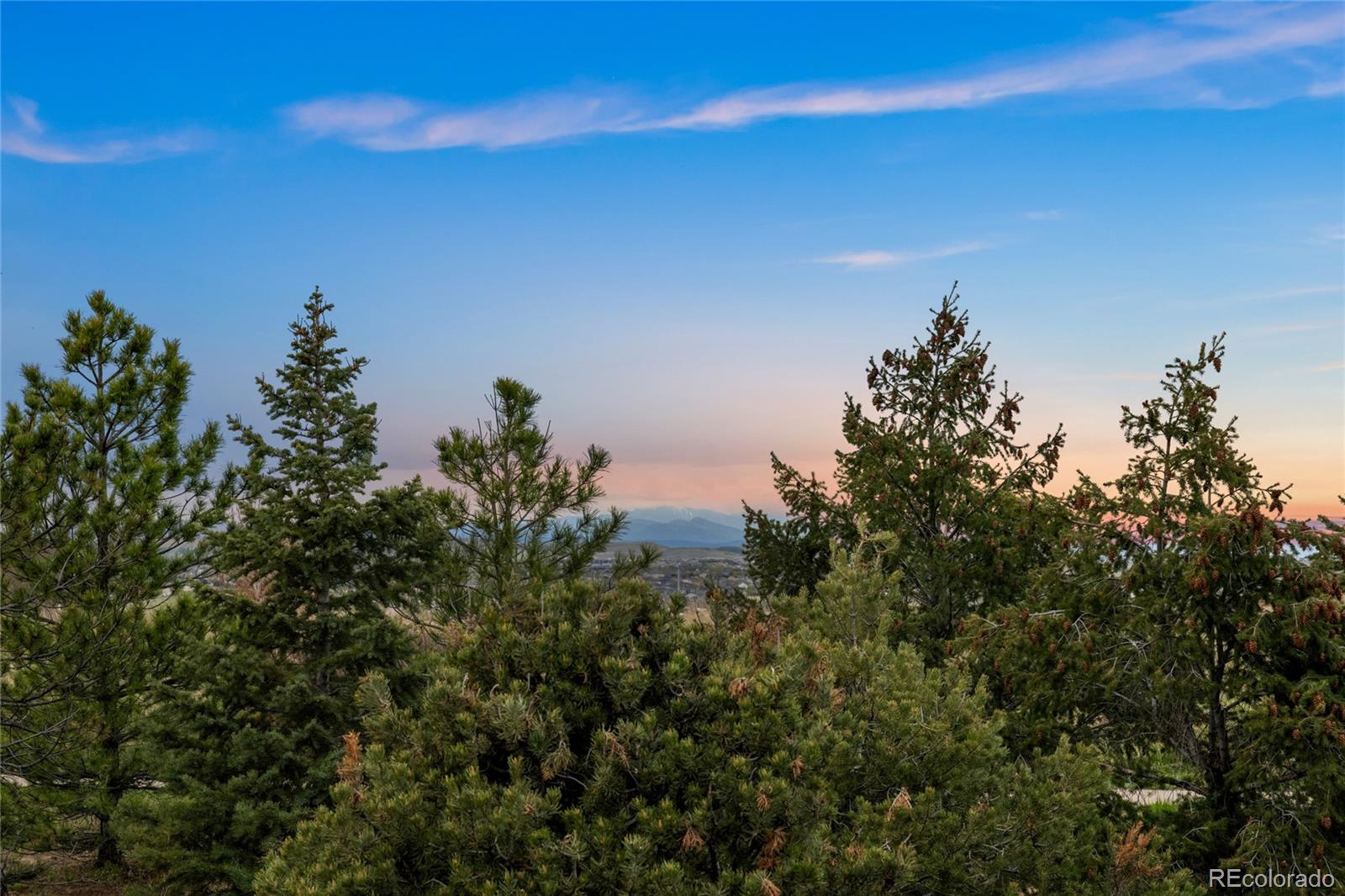 MLS Image #36 for 20127  aintree court,parker, Colorado