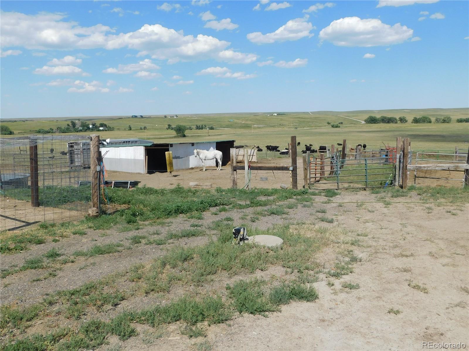 MLS Image #22 for 27990  private road 139 ,agate, Colorado