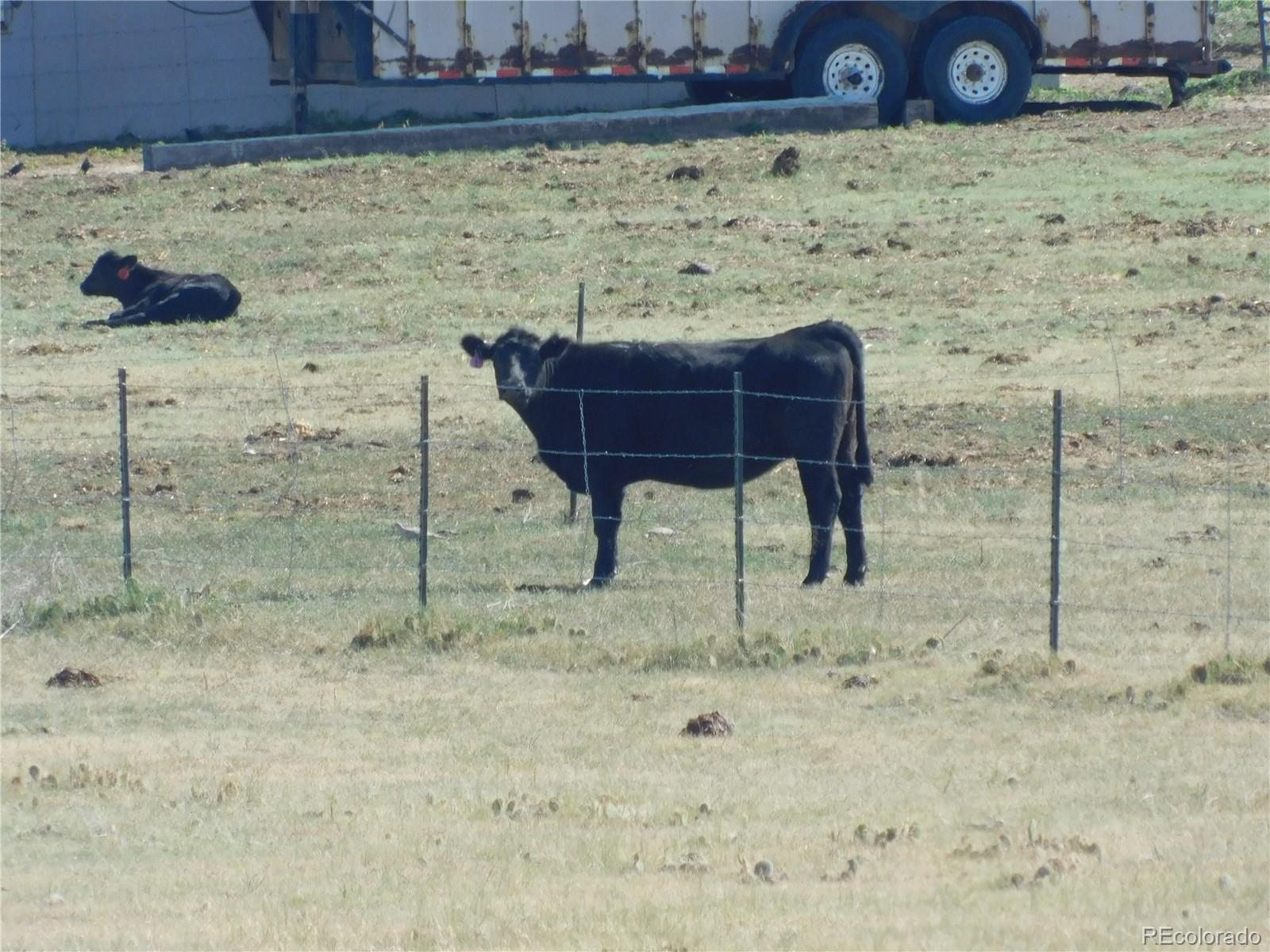 MLS Image #29 for 27990  private road 139 ,agate, Colorado