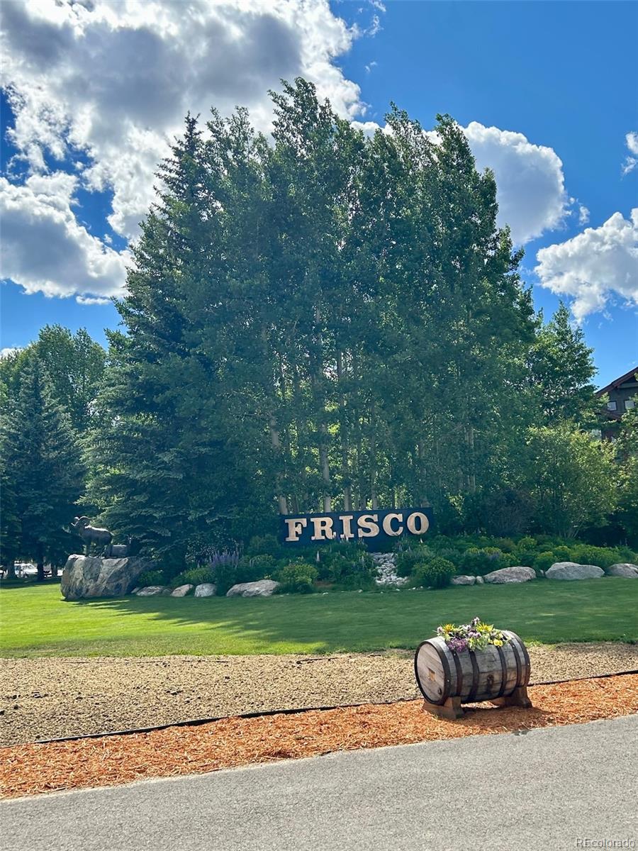 MLS Image #33 for 311  galena street,frisco, Colorado