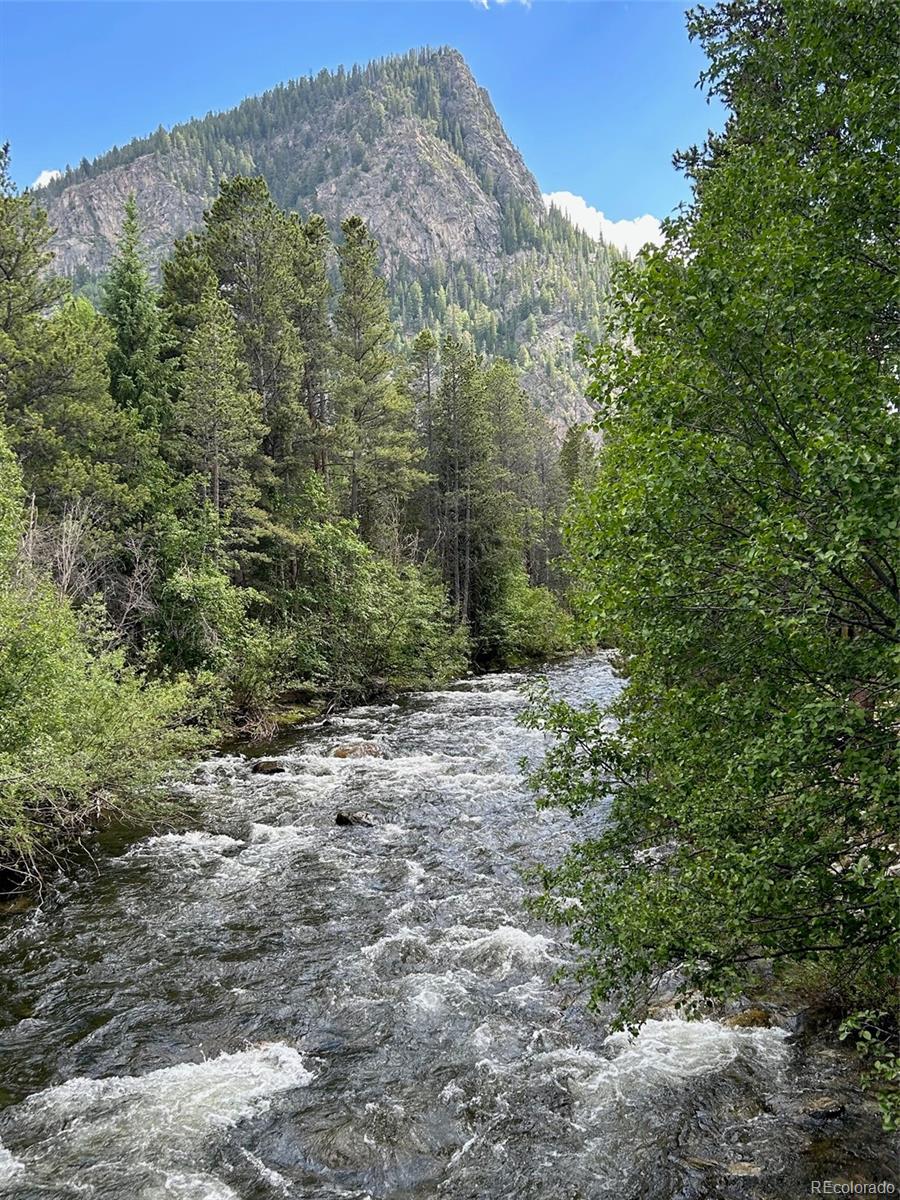MLS Image #38 for 311  galena street,frisco, Colorado
