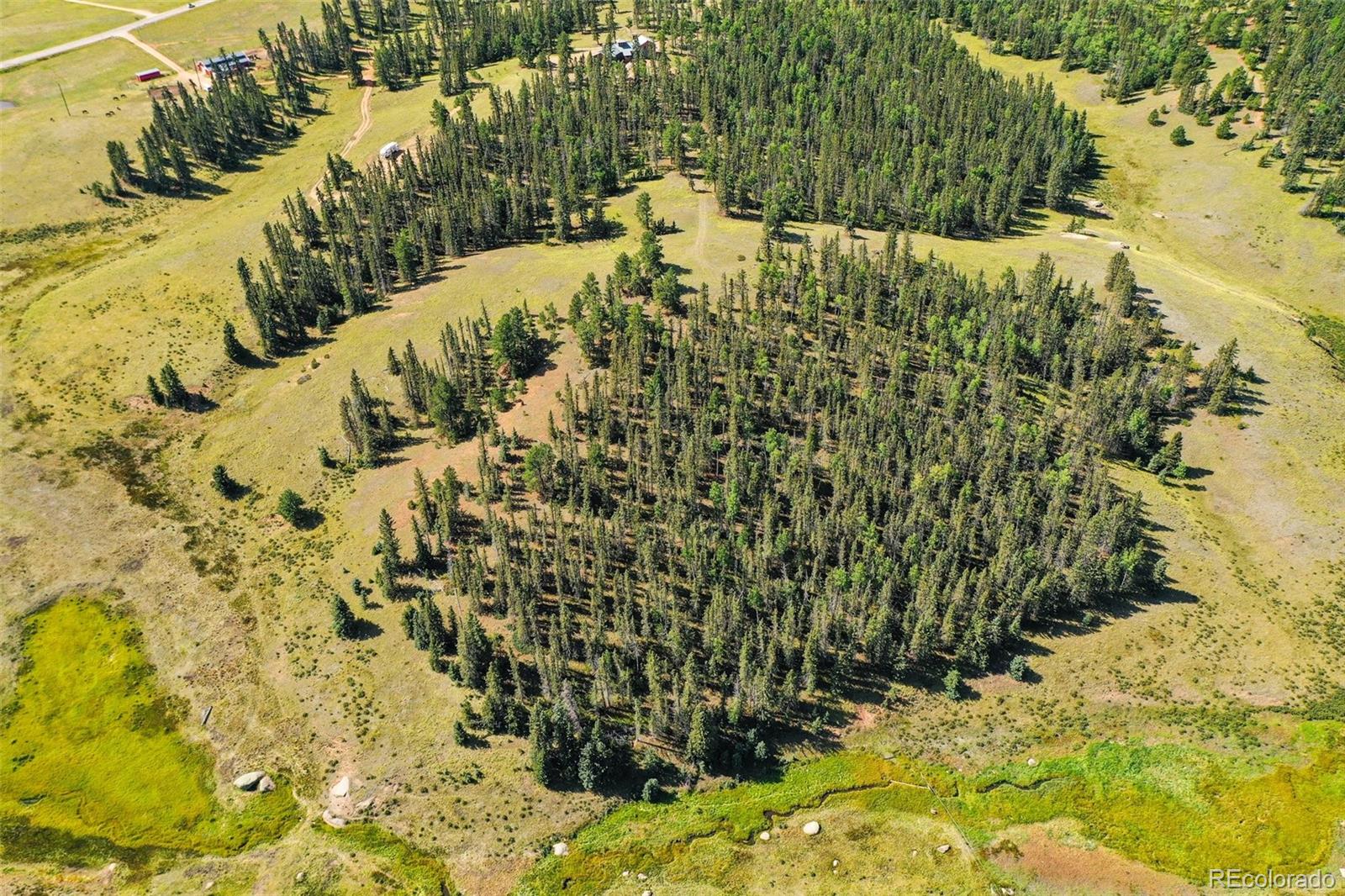MLS Image #45 for 4815  county road 42 road,divide, Colorado