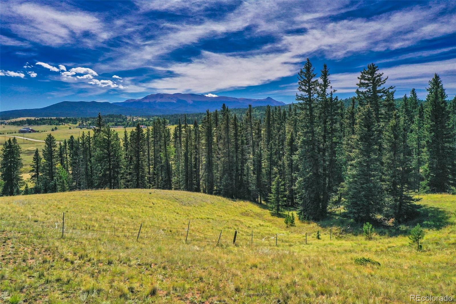 MLS Image #48 for 4815  county road 42 road,divide, Colorado