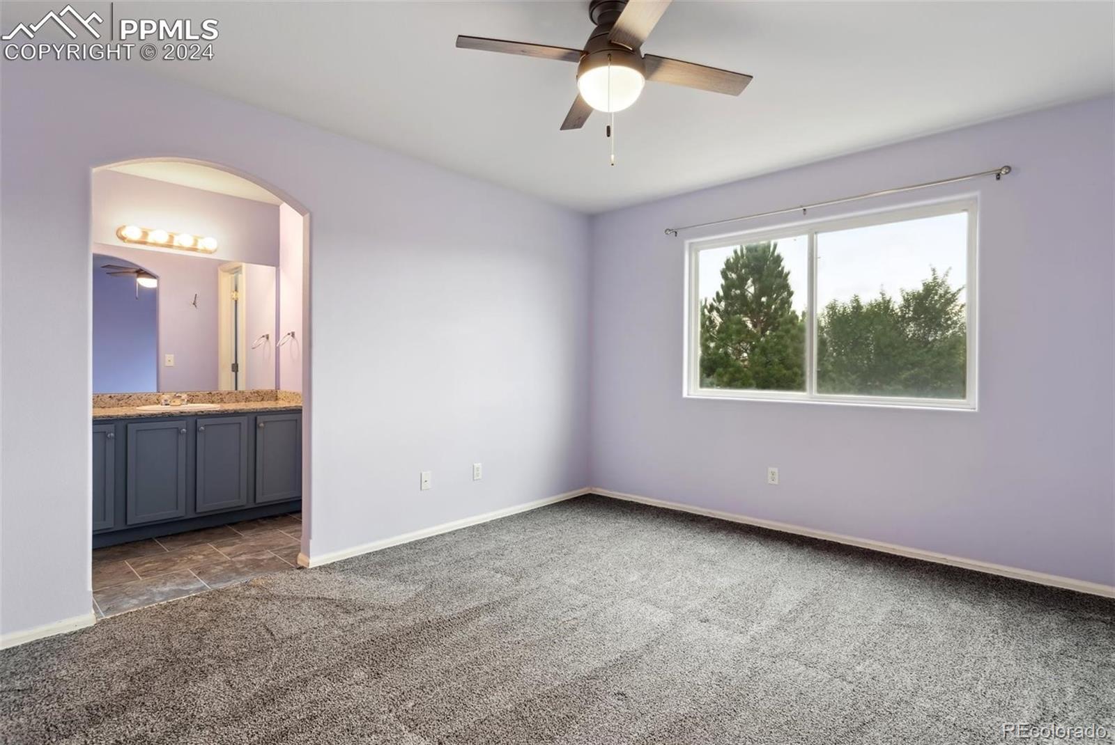 MLS Image #4 for 771  hailey glenn view,colorado springs, Colorado