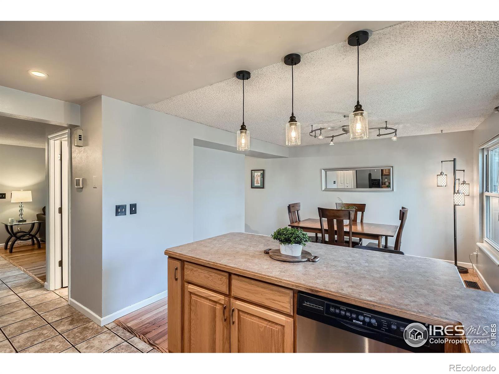 MLS Image #10 for 8093  miller circle,arvada, Colorado