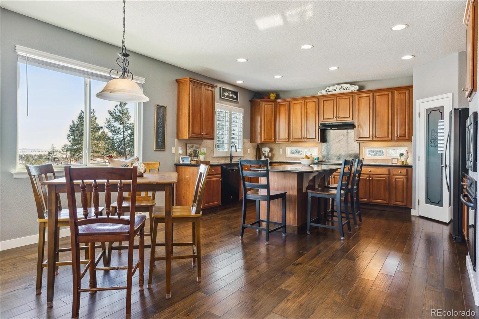 MLS Image #10 for 1430  milbury street,castle rock, Colorado