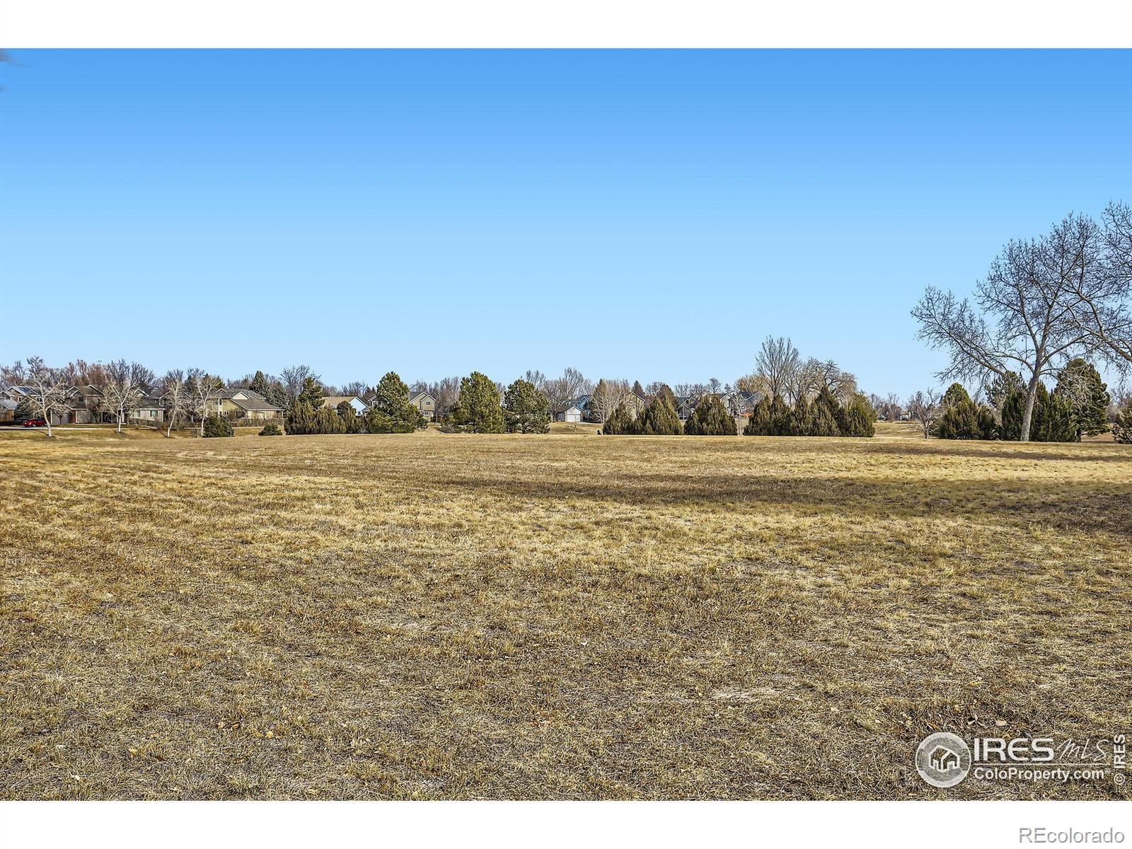 MLS Image #4 for 4501  regency drive,fort collins, Colorado