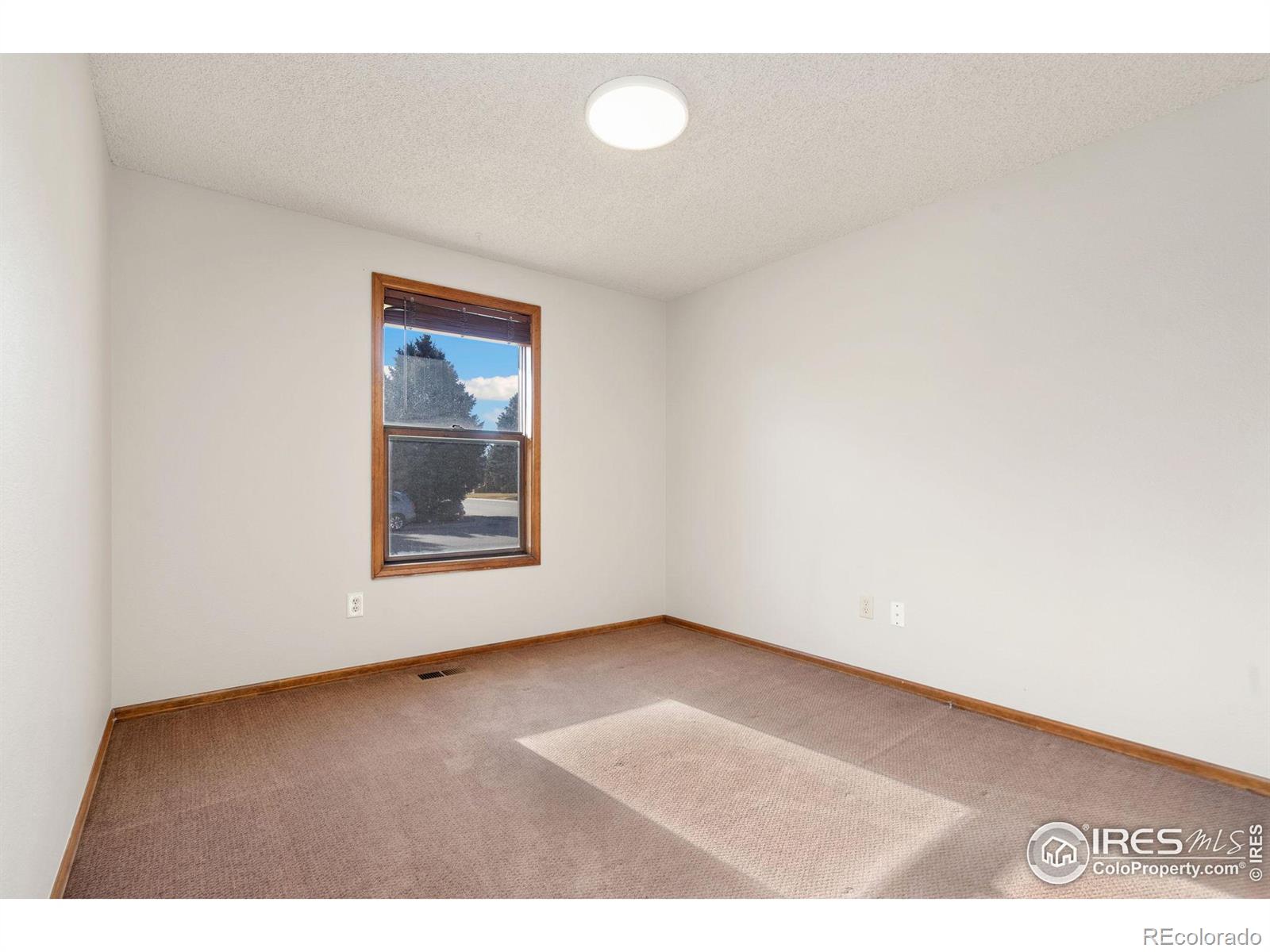 MLS Image #13 for 1029 n redbud drive,loveland, Colorado