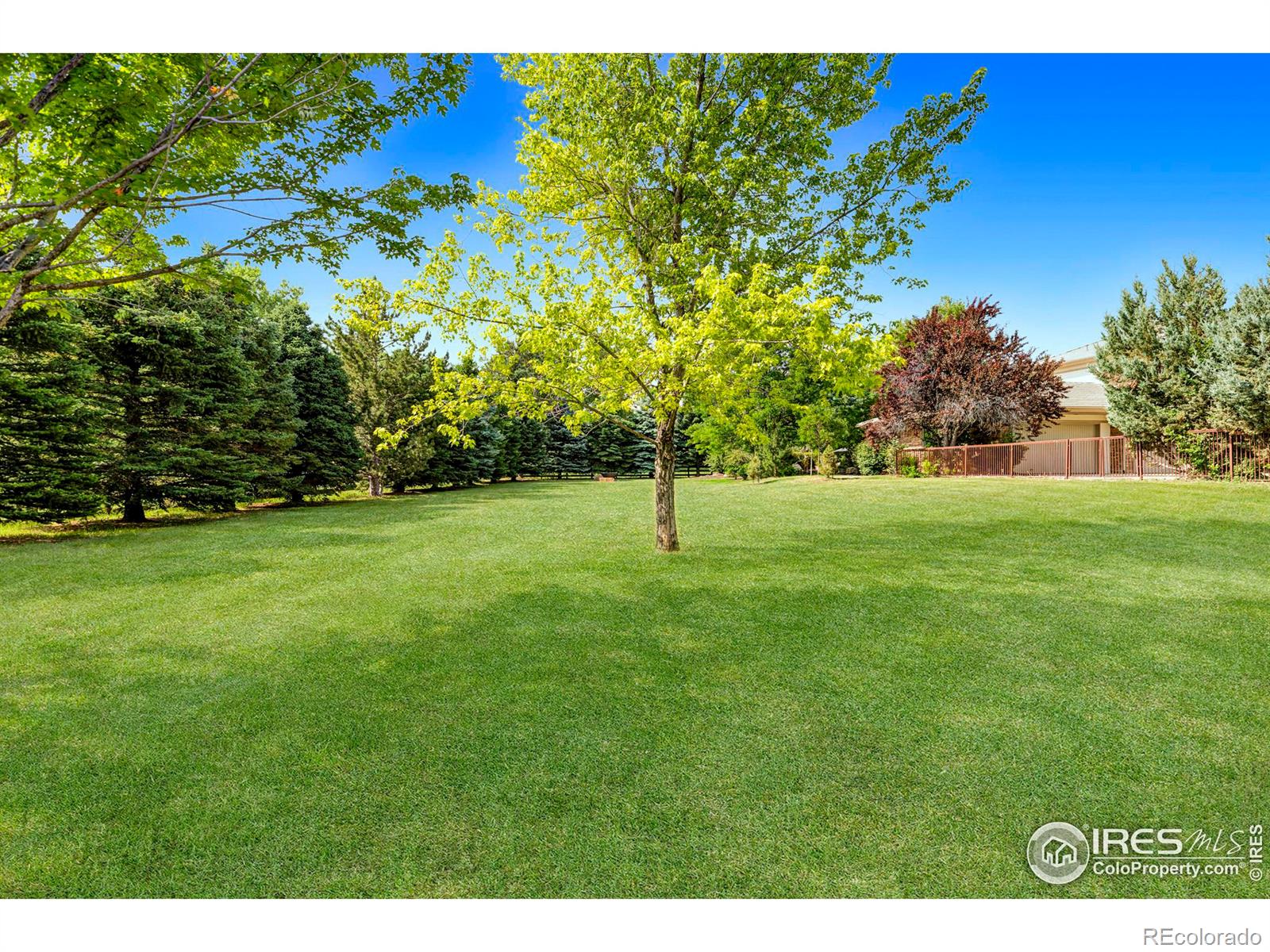 MLS Image #28 for 1332  white hawk ranch drive,boulder, Colorado