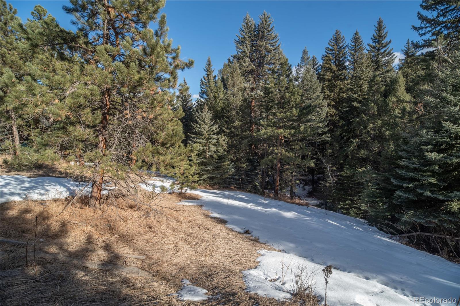 MLS Image #19 for 5925  herzman drive,evergreen, Colorado