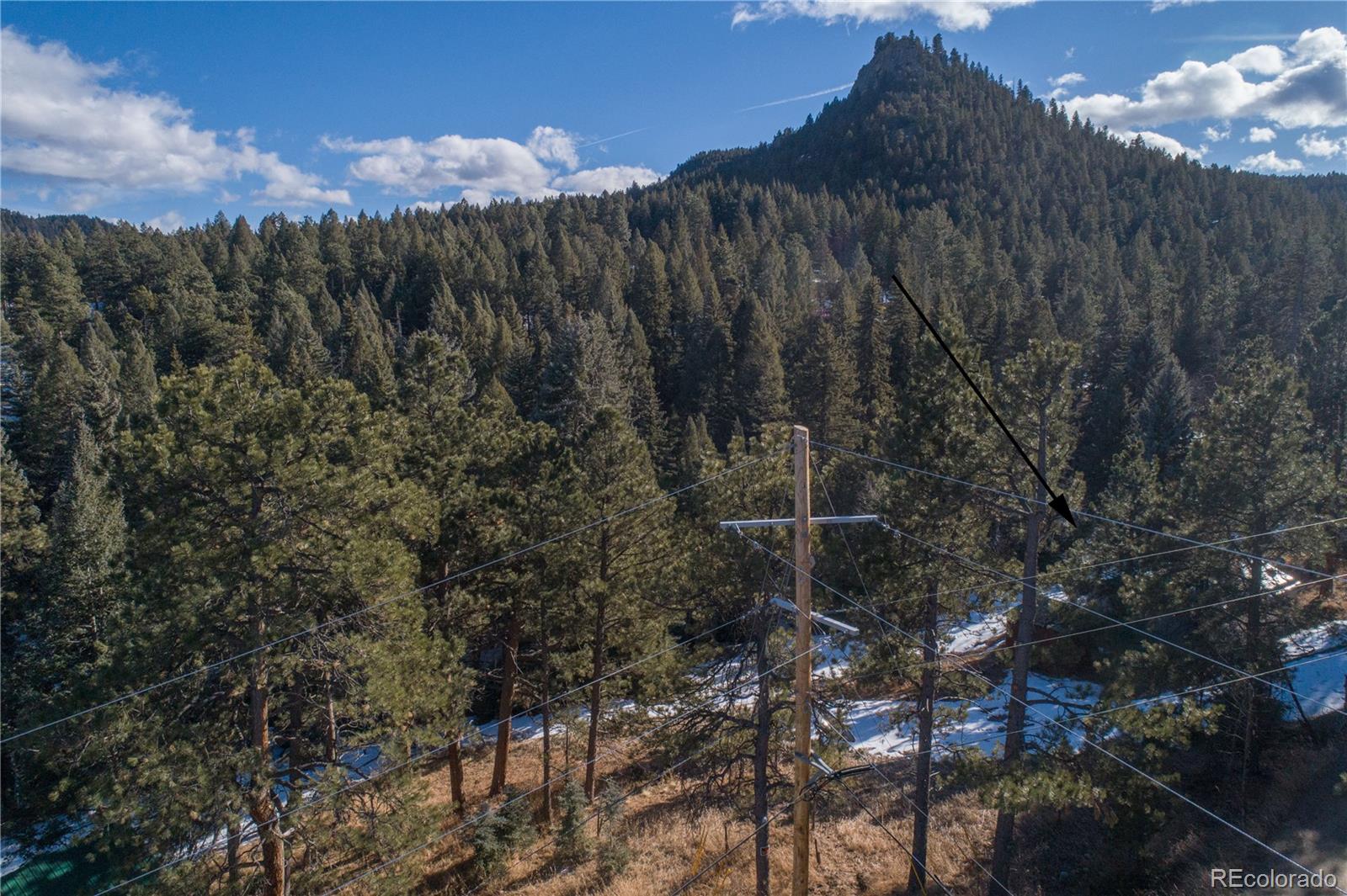 MLS Image #2 for 5925  herzman drive,evergreen, Colorado