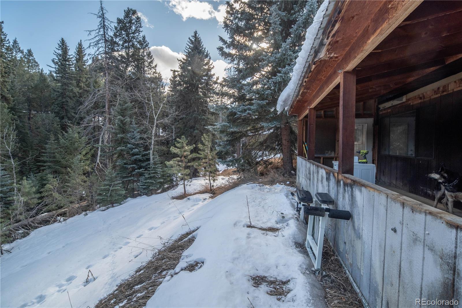 MLS Image #20 for 5925  herzman drive,evergreen, Colorado