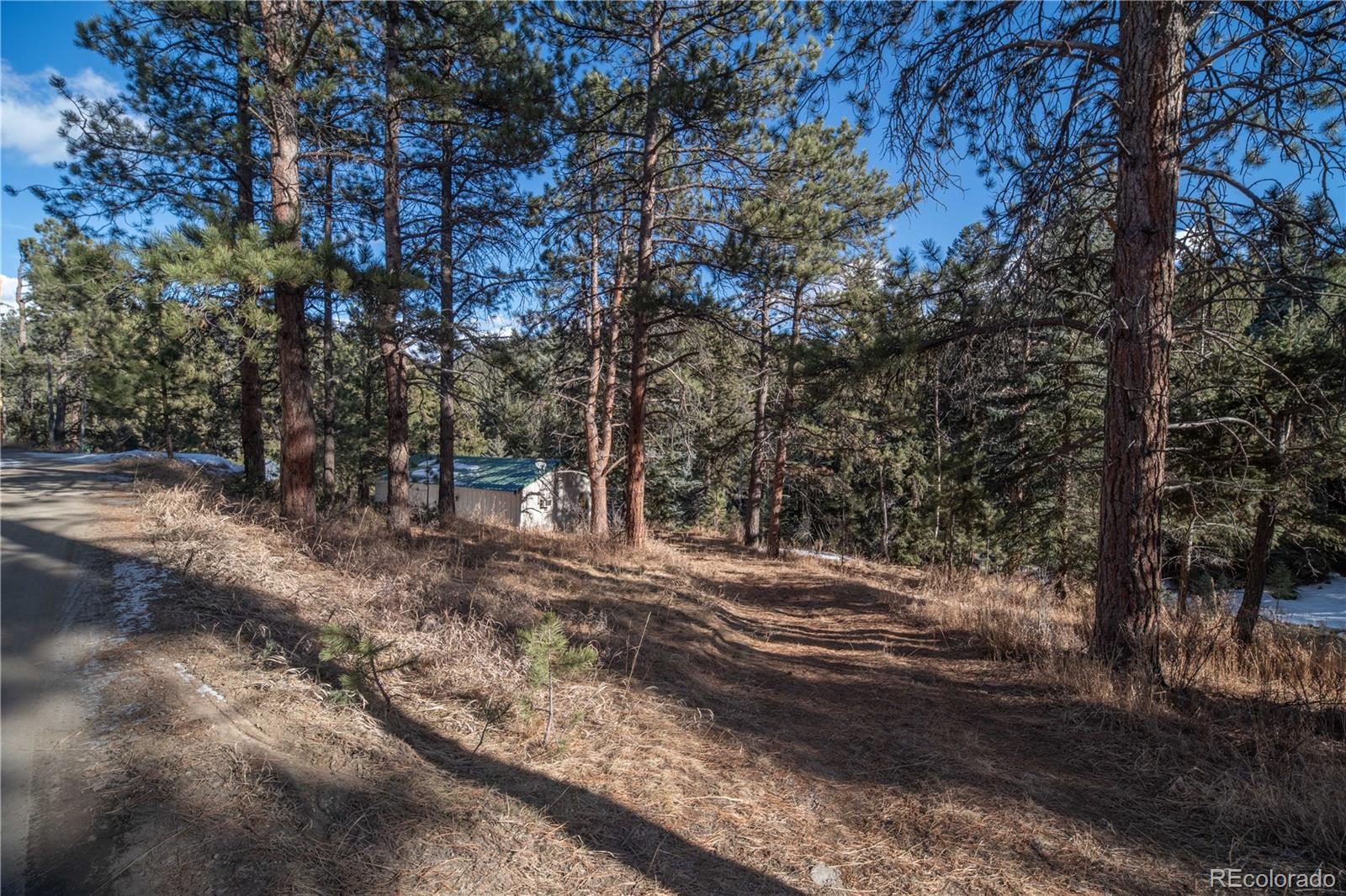 MLS Image #21 for 5925  herzman drive,evergreen, Colorado