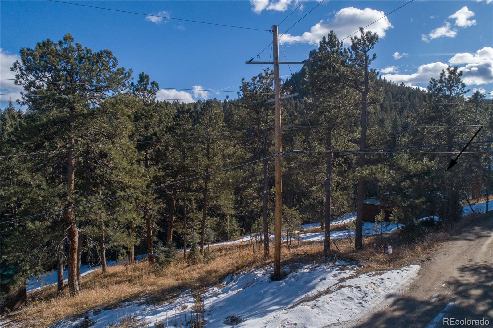 MLS Image #22 for 5925  herzman drive,evergreen, Colorado