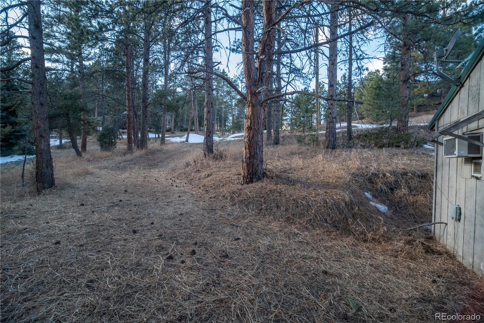 MLS Image #3 for 5925  herzman drive,evergreen, Colorado