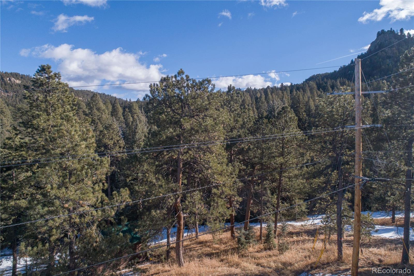 MLS Image #4 for 5925  herzman drive,evergreen, Colorado