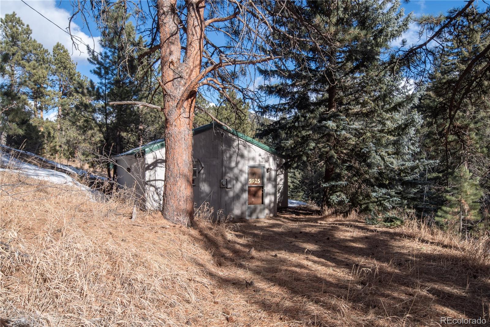 MLS Image #5 for 5925  herzman drive,evergreen, Colorado