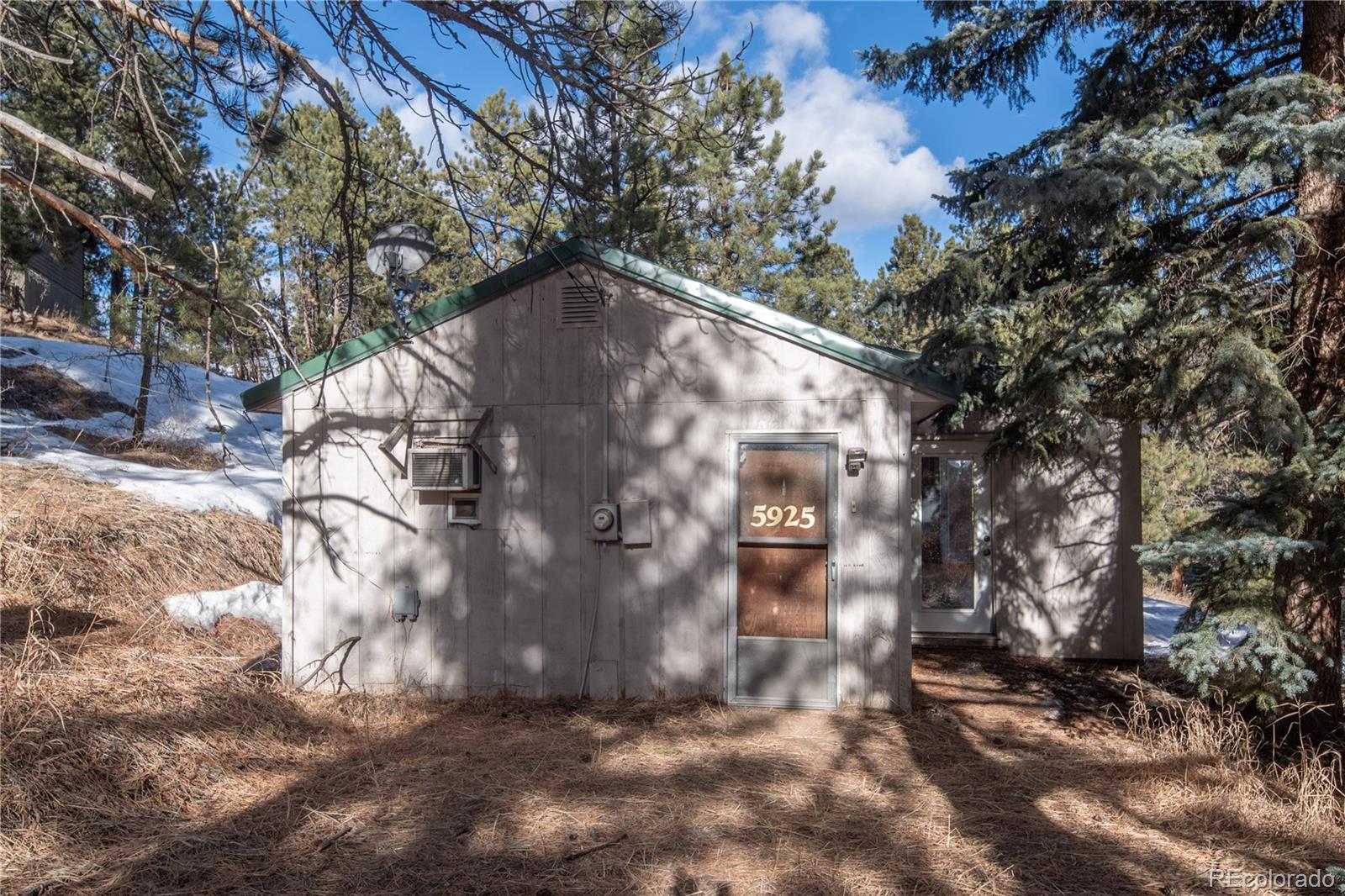 MLS Image #6 for 5925  herzman drive,evergreen, Colorado