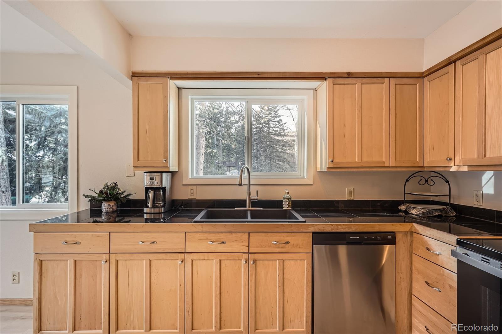 MLS Image #12 for 4888  silver spruce lane,evergreen, Colorado