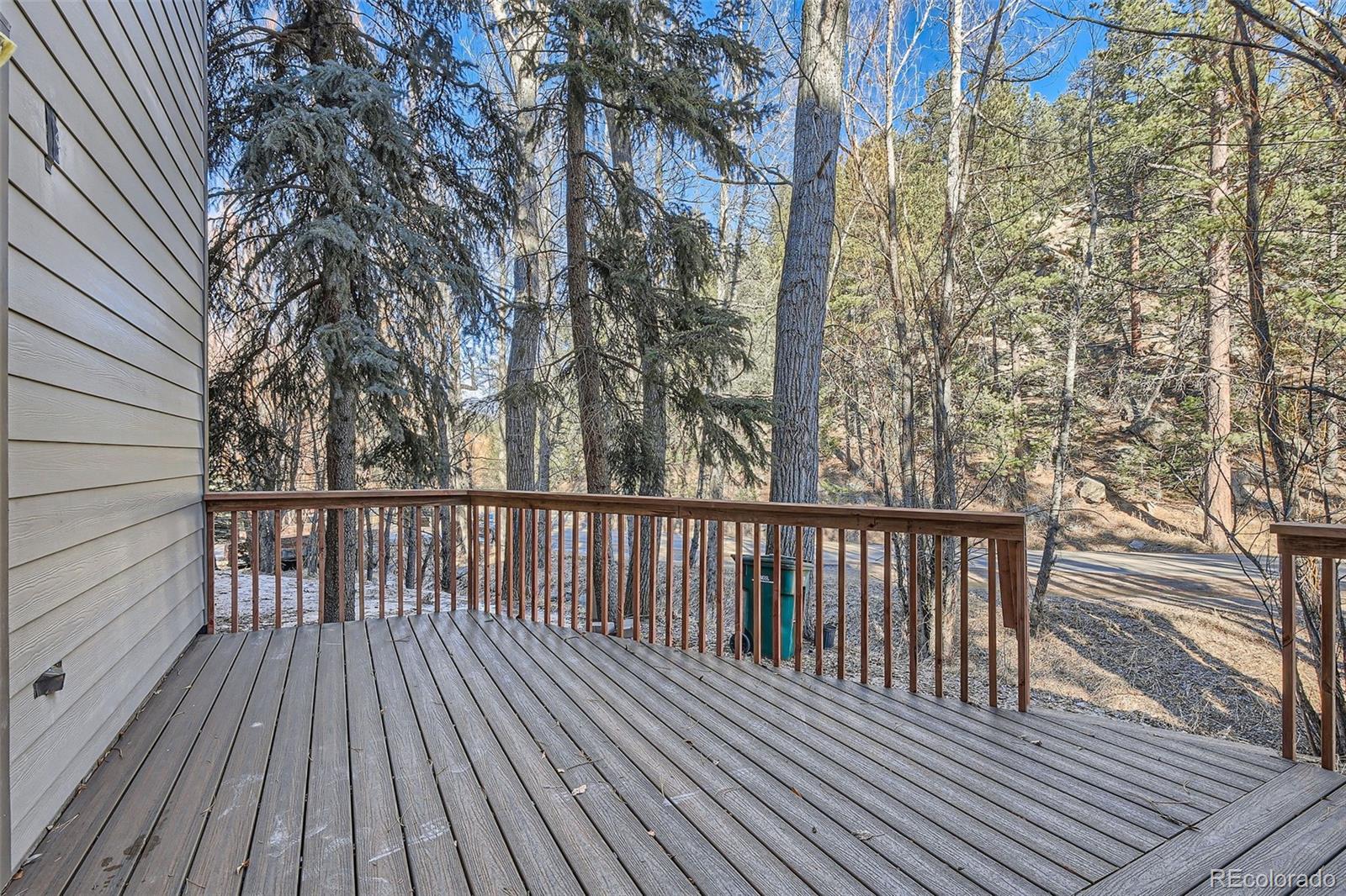 MLS Image #24 for 4888  silver spruce lane,evergreen, Colorado