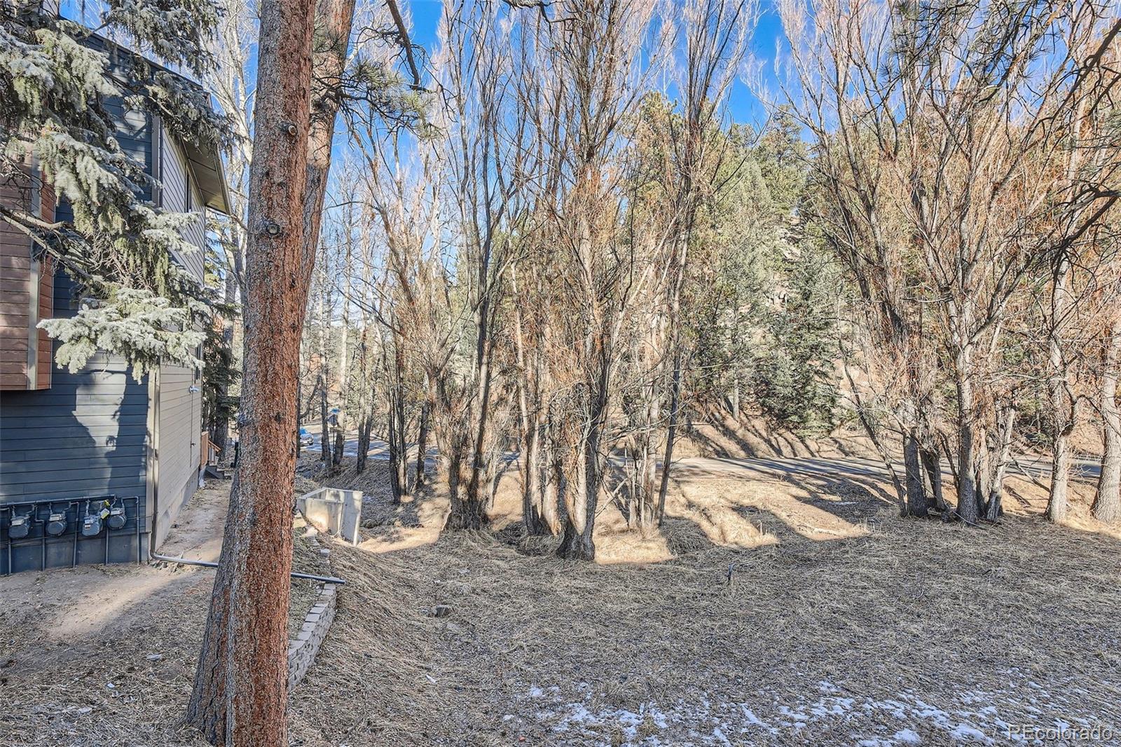 MLS Image #26 for 4888  silver spruce lane,evergreen, Colorado