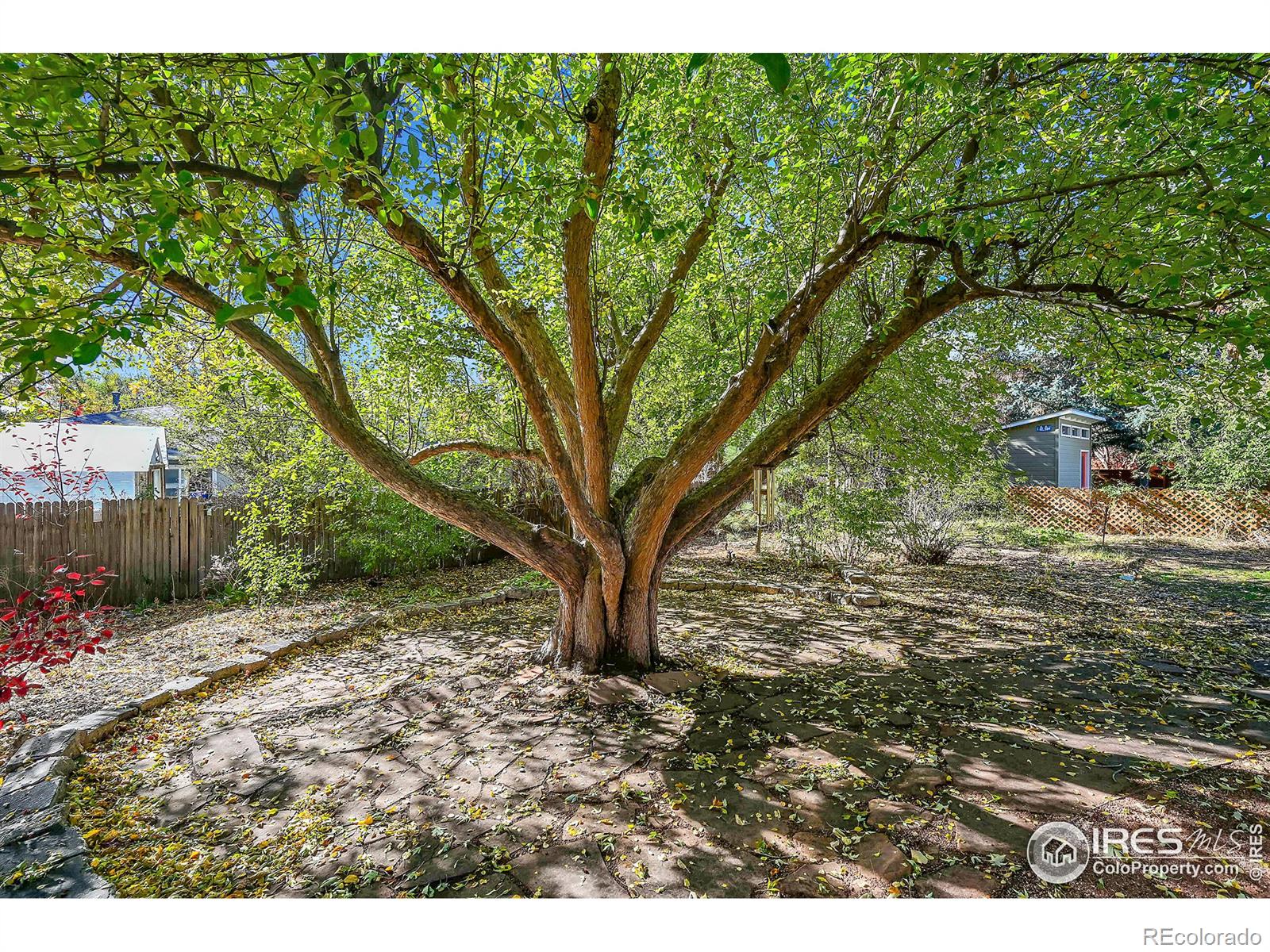 MLS Image #28 for 2020  18th avenue,greeley, Colorado