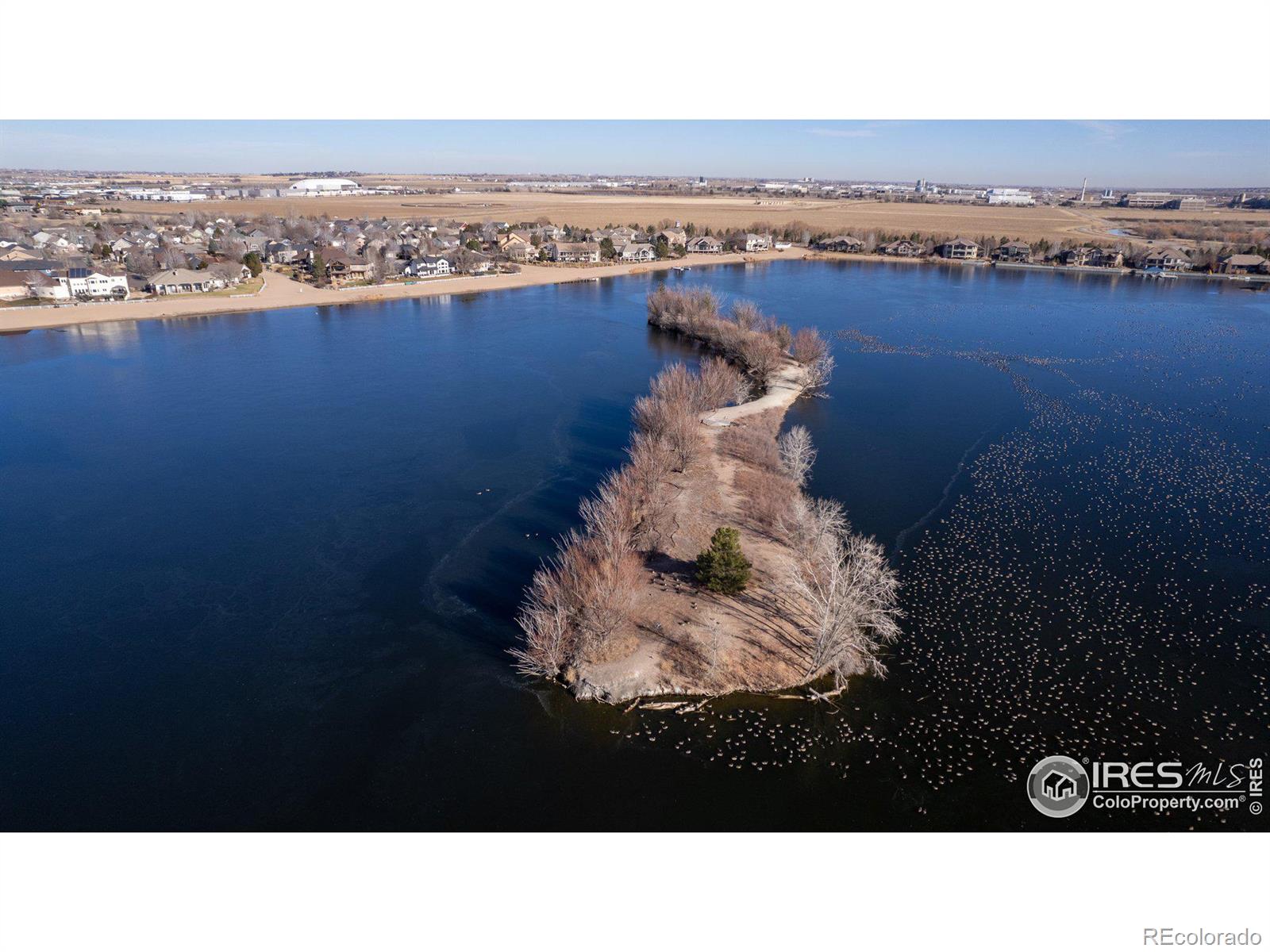 MLS Image #3 for 1515  waterfront drive,windsor, Colorado