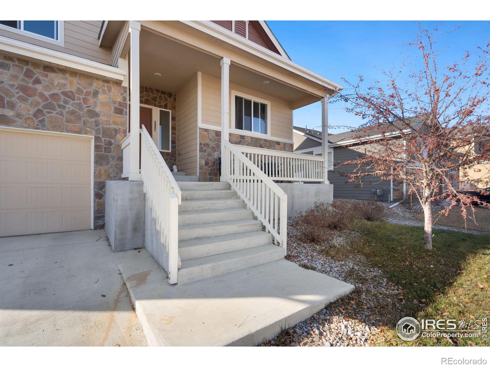 MLS Image #1 for 905  barasingha street,severance, Colorado