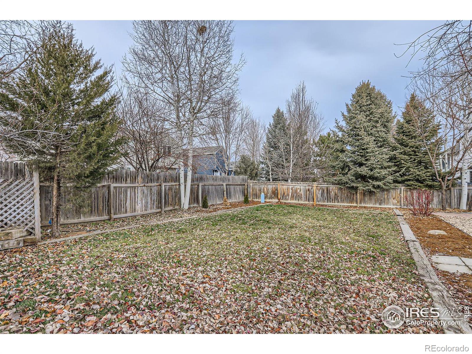 MLS Image #24 for 1127  red oak drive,longmont, Colorado