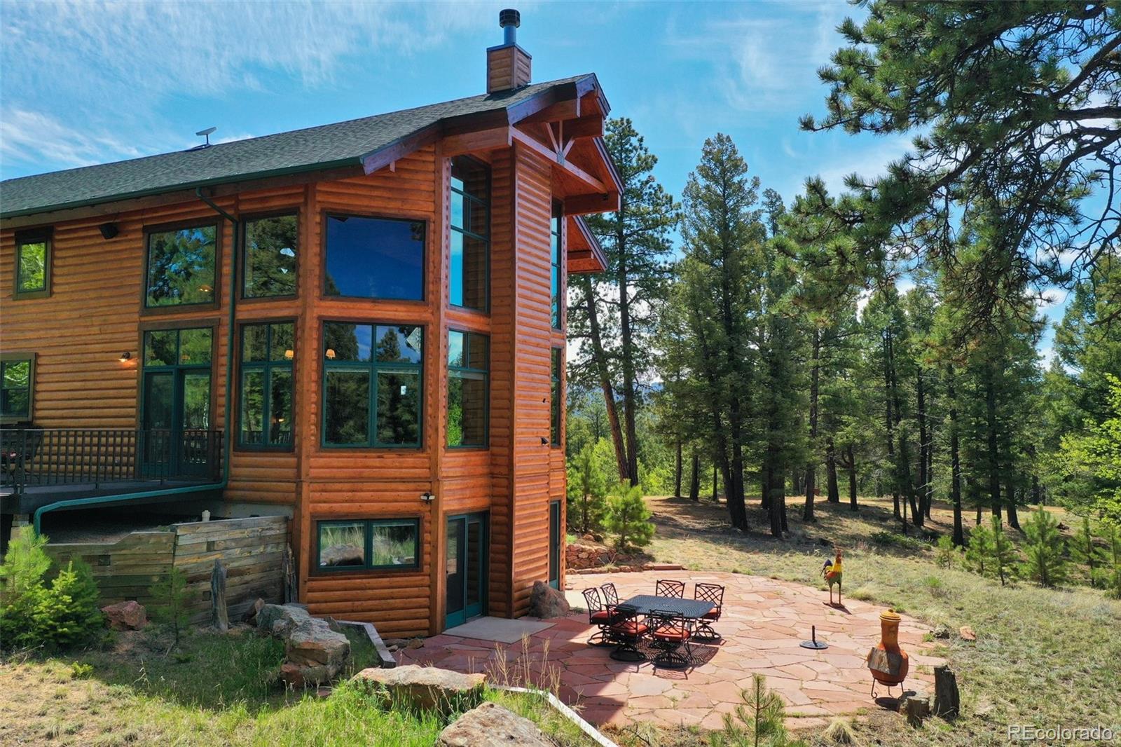 MLS Image #47 for 527  cougar point,divide, Colorado