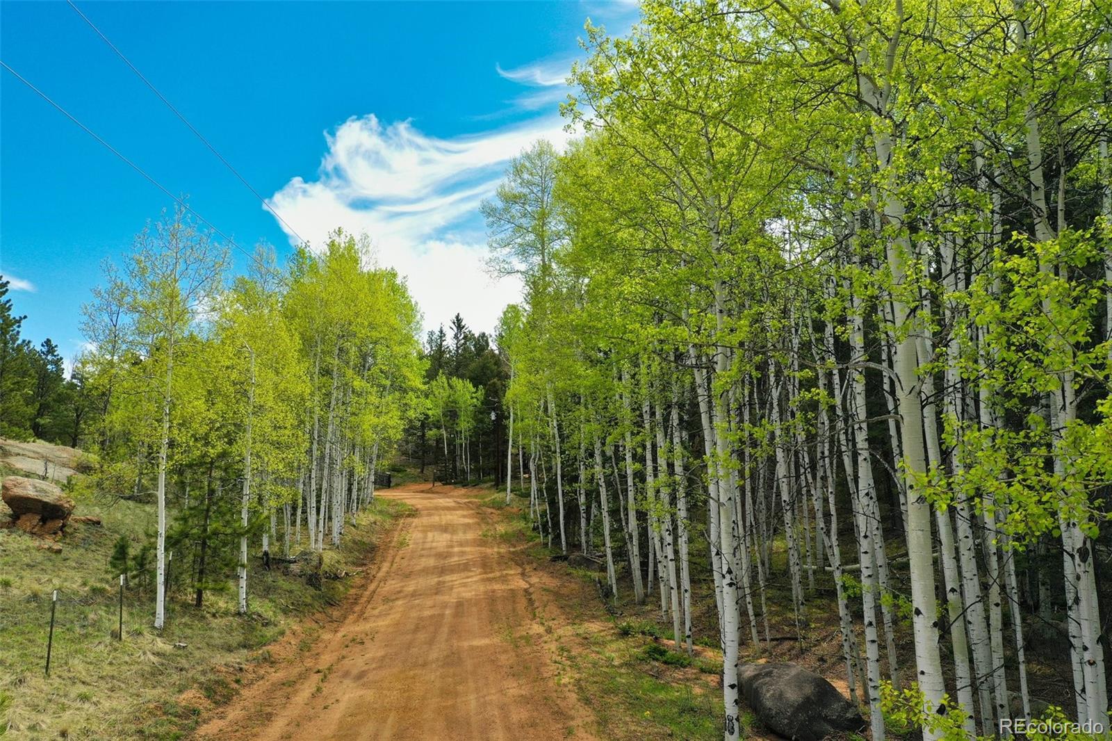 MLS Image #49 for 527  cougar point,divide, Colorado