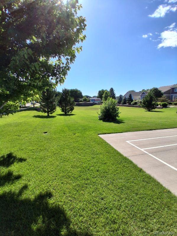 MLS Image #25 for 1211  bistre street,longmont, Colorado