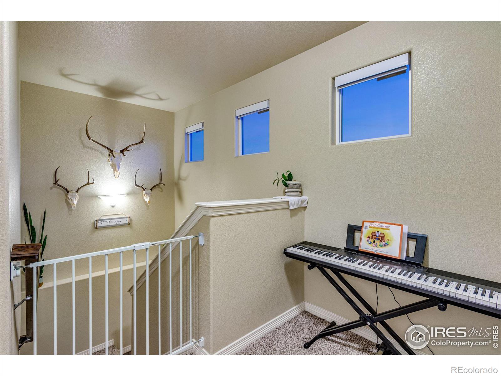 MLS Image #27 for 1484  moraine valley drive,severance, Colorado