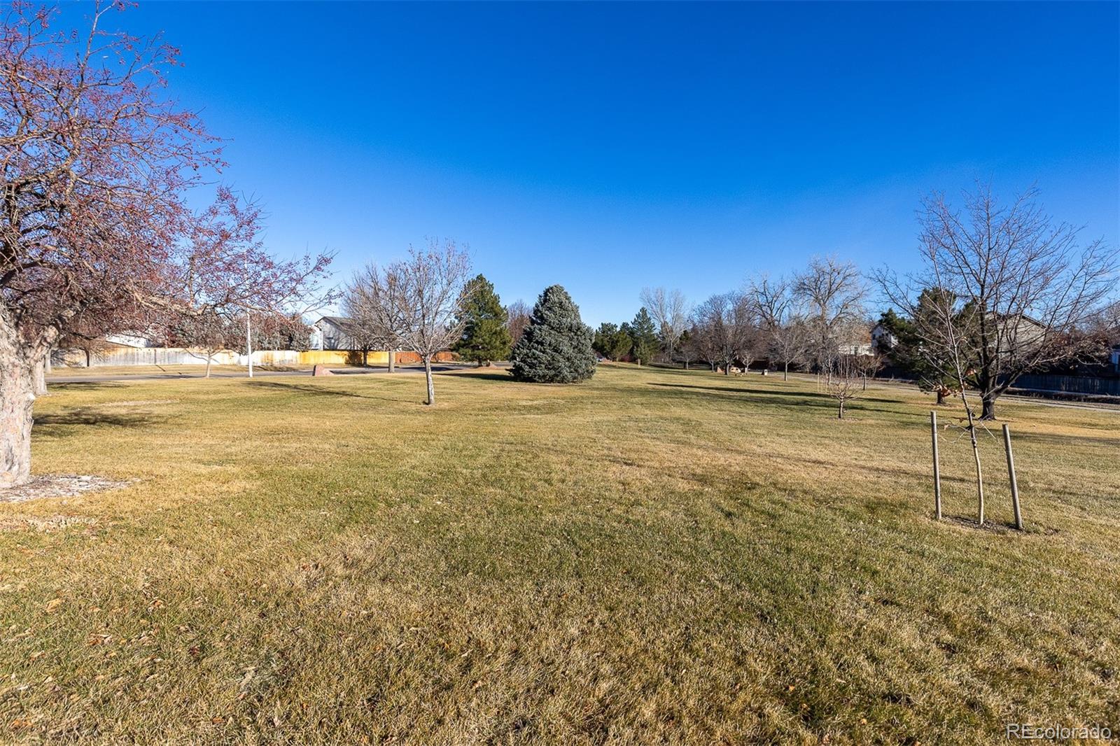 MLS Image #35 for 1136  opal street 201,broomfield, Colorado