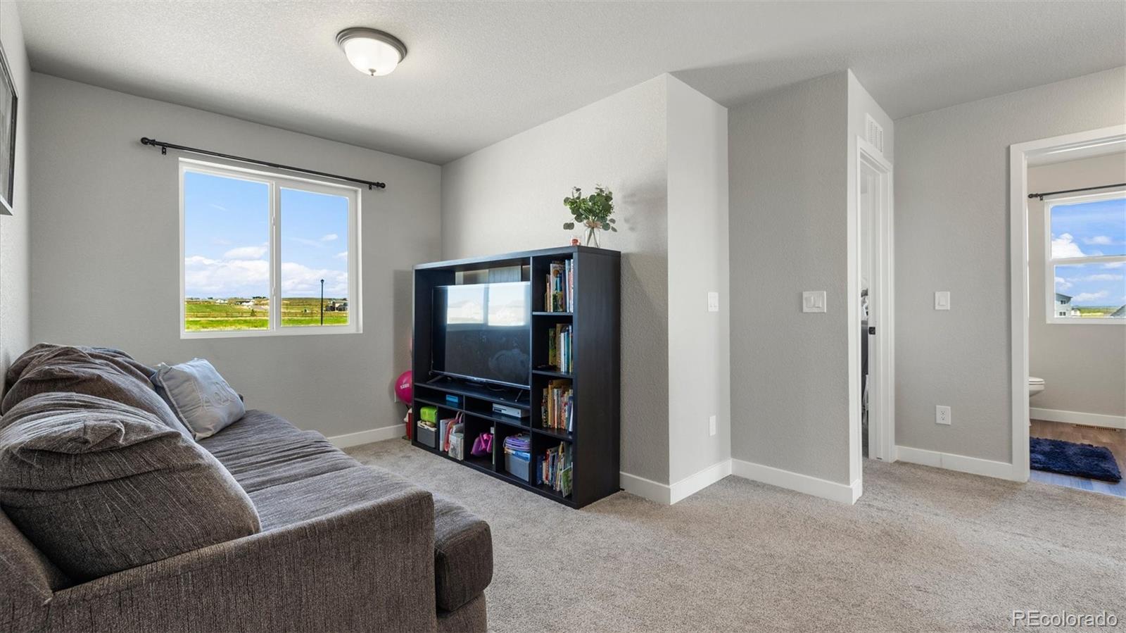 MLS Image #22 for 13358  savannah falls court,peyton, Colorado