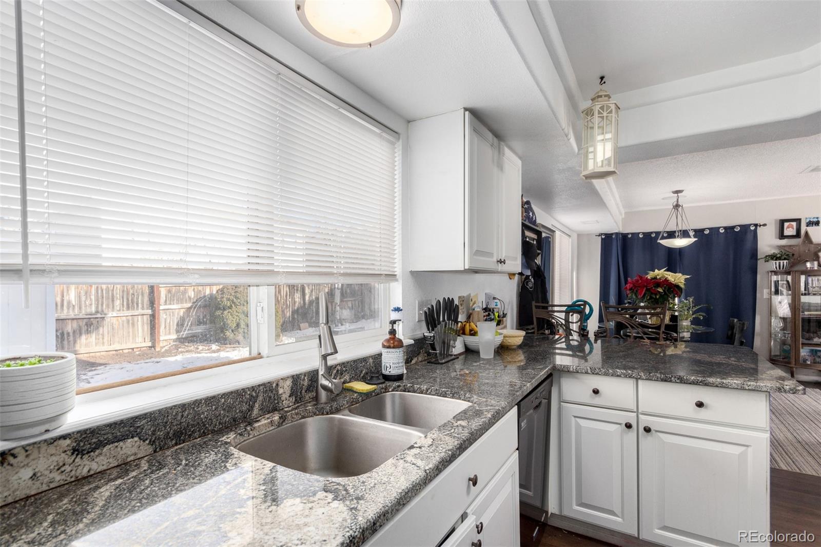 MLS Image #15 for 4152  netherland street,denver, Colorado