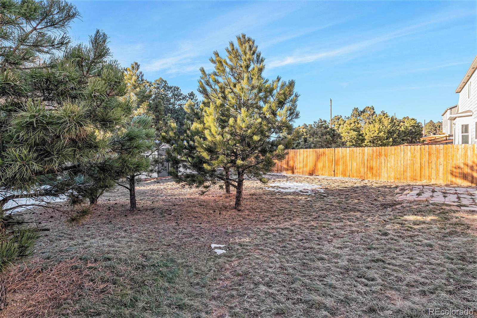 MLS Image #33 for 19513  lindenmere drive,monument, Colorado