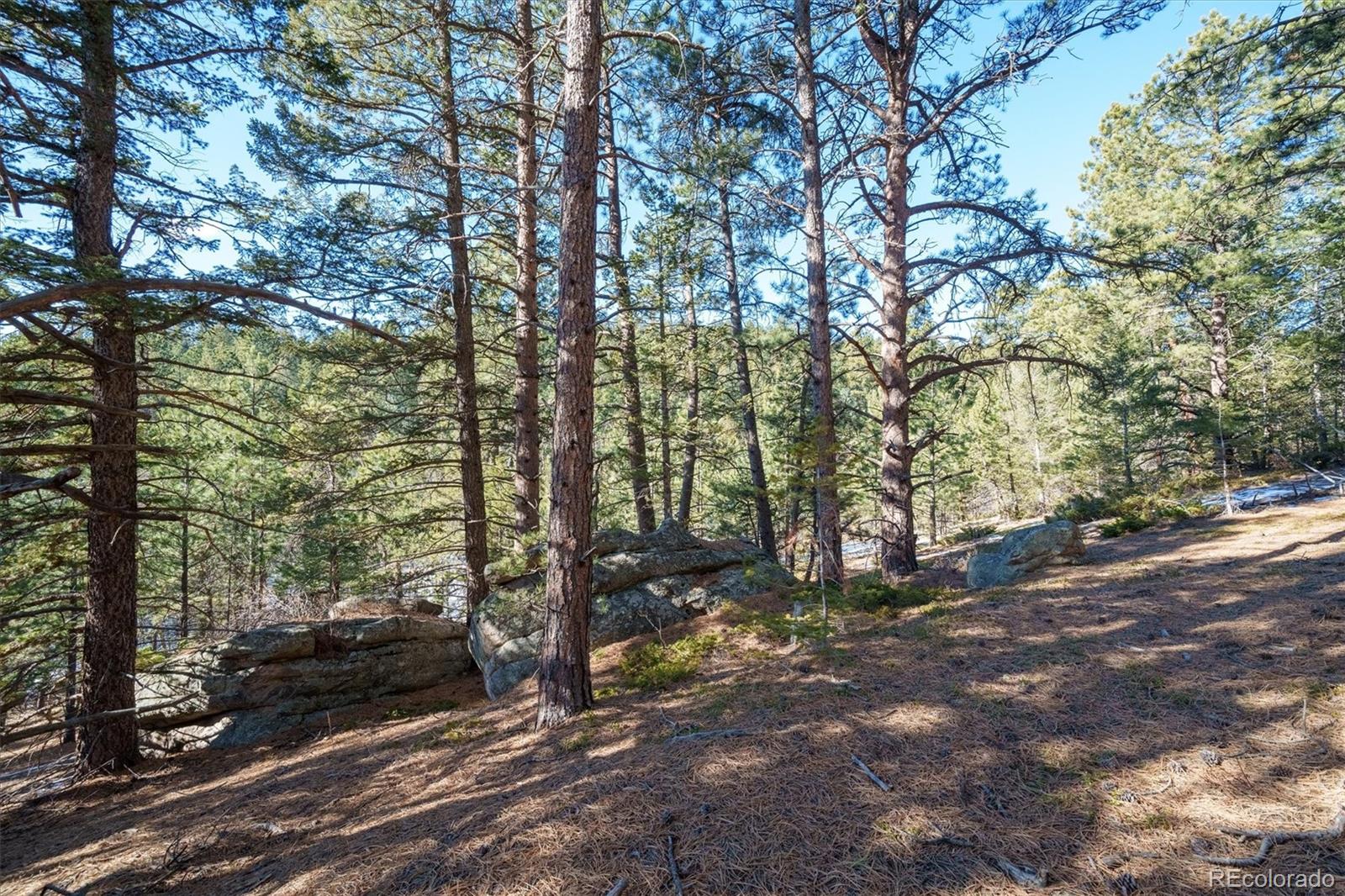 MLS Image #43 for 6069  magnolia drive,nederland, Colorado