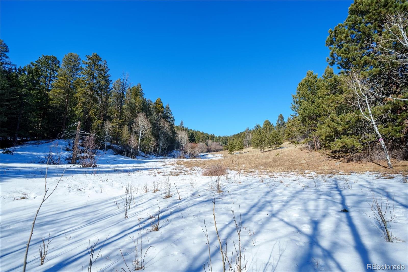 MLS Image #45 for 6069  magnolia drive,nederland, Colorado