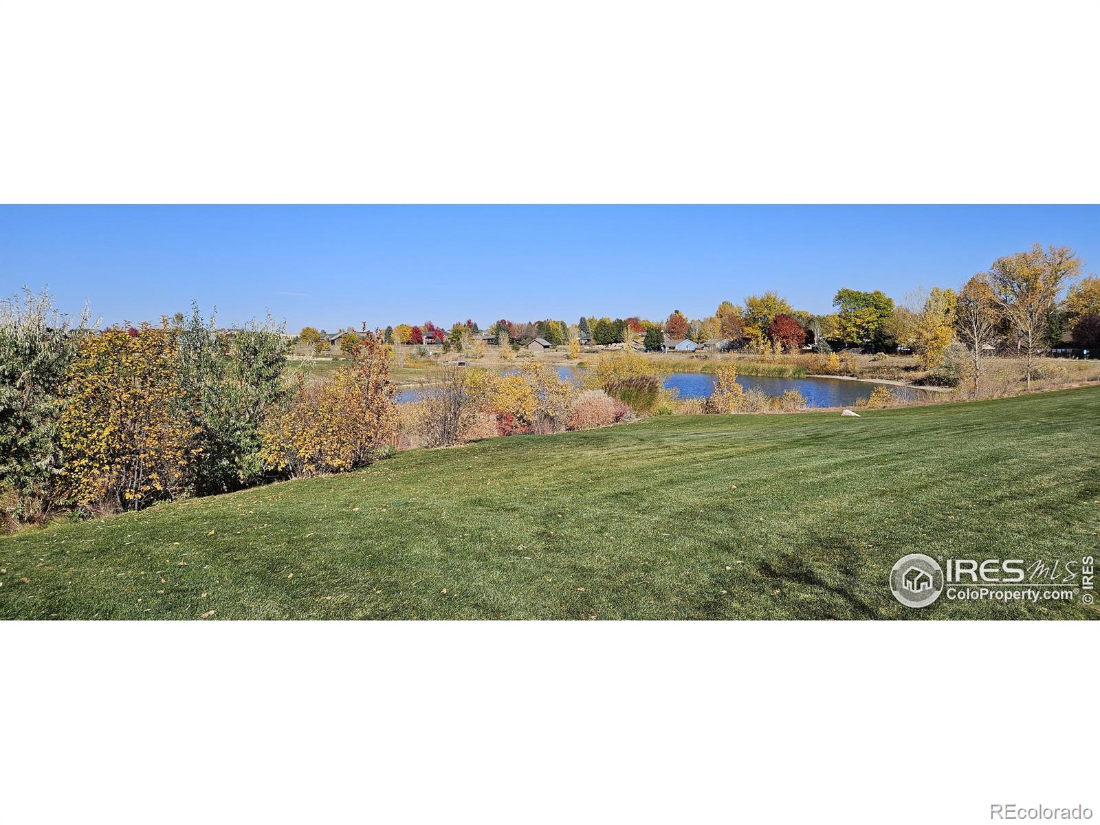 MLS Image #36 for 2356  fraser court,loveland, Colorado