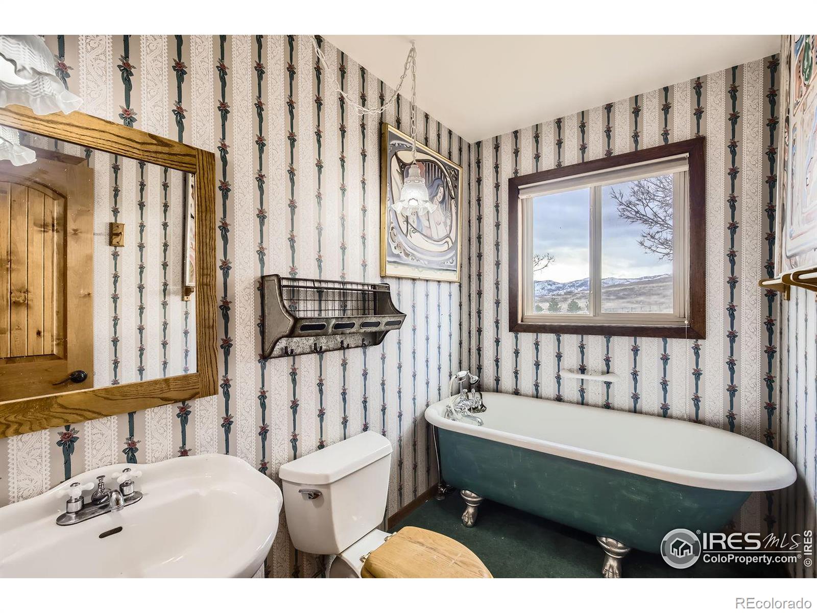 MLS Image #17 for 4229  buckskin trail,laporte, Colorado